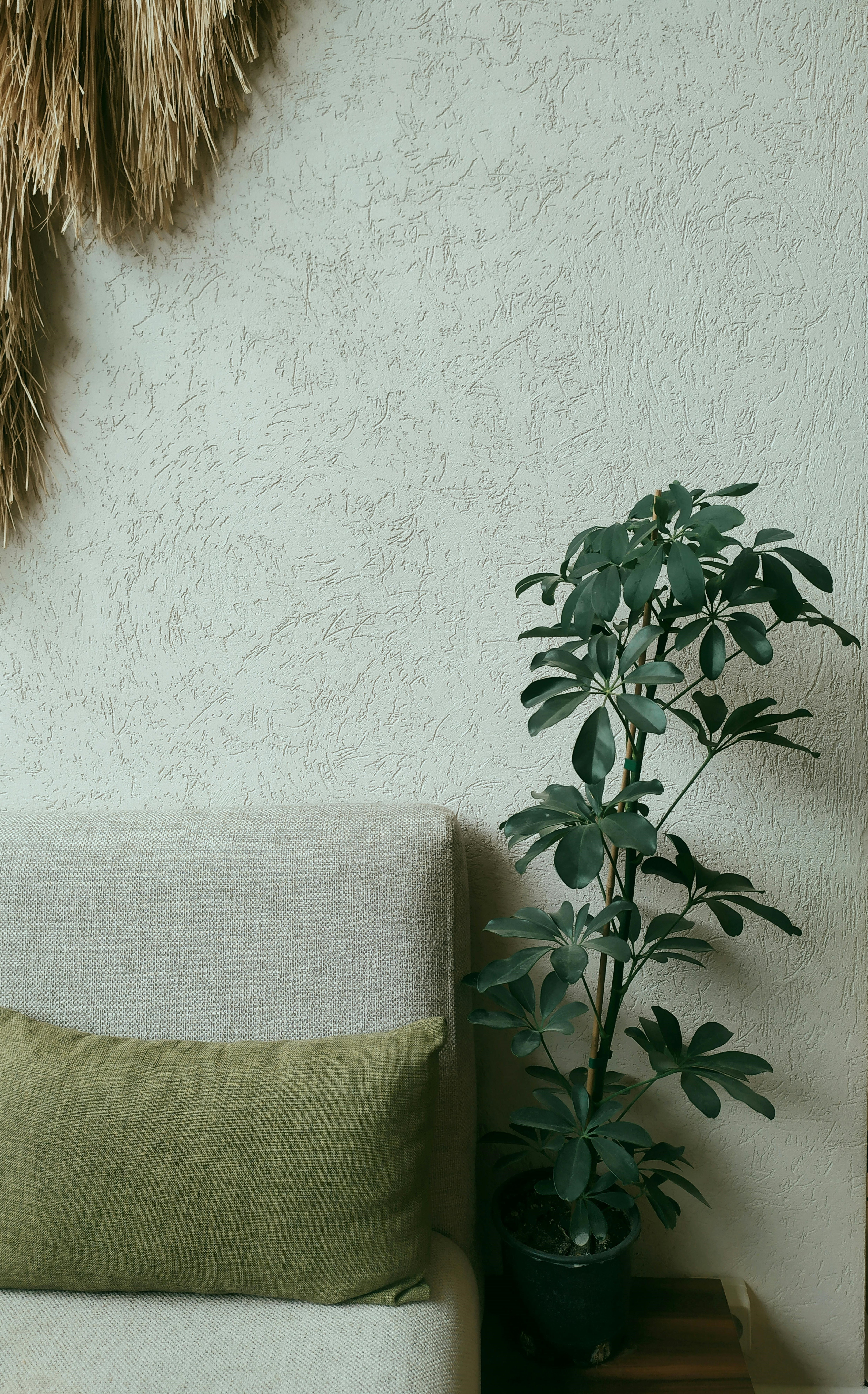 cozy images for heart warm welcoming